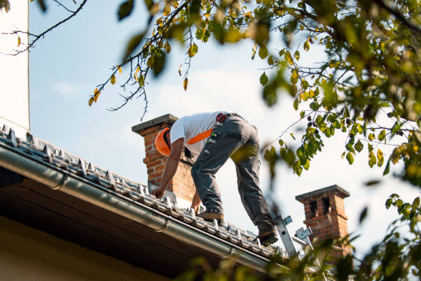 Best Roof Gutter Cleaning  in Buffalo, OK